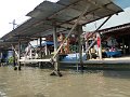 Damnoen Saduak P0307 Marche flottant